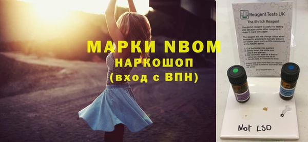мдпв Абаза