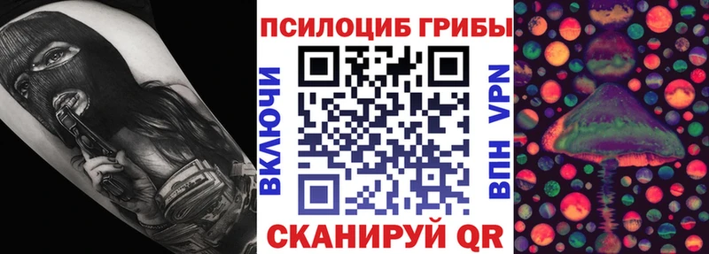 Псилоцибиновые грибы прущие грибы  дарнет шоп  Трубчевск 