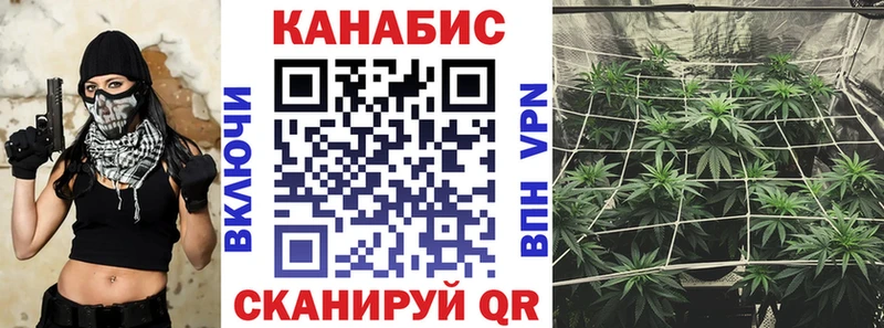 Бошки марихуана марихуана  наркота  Трубчевск 